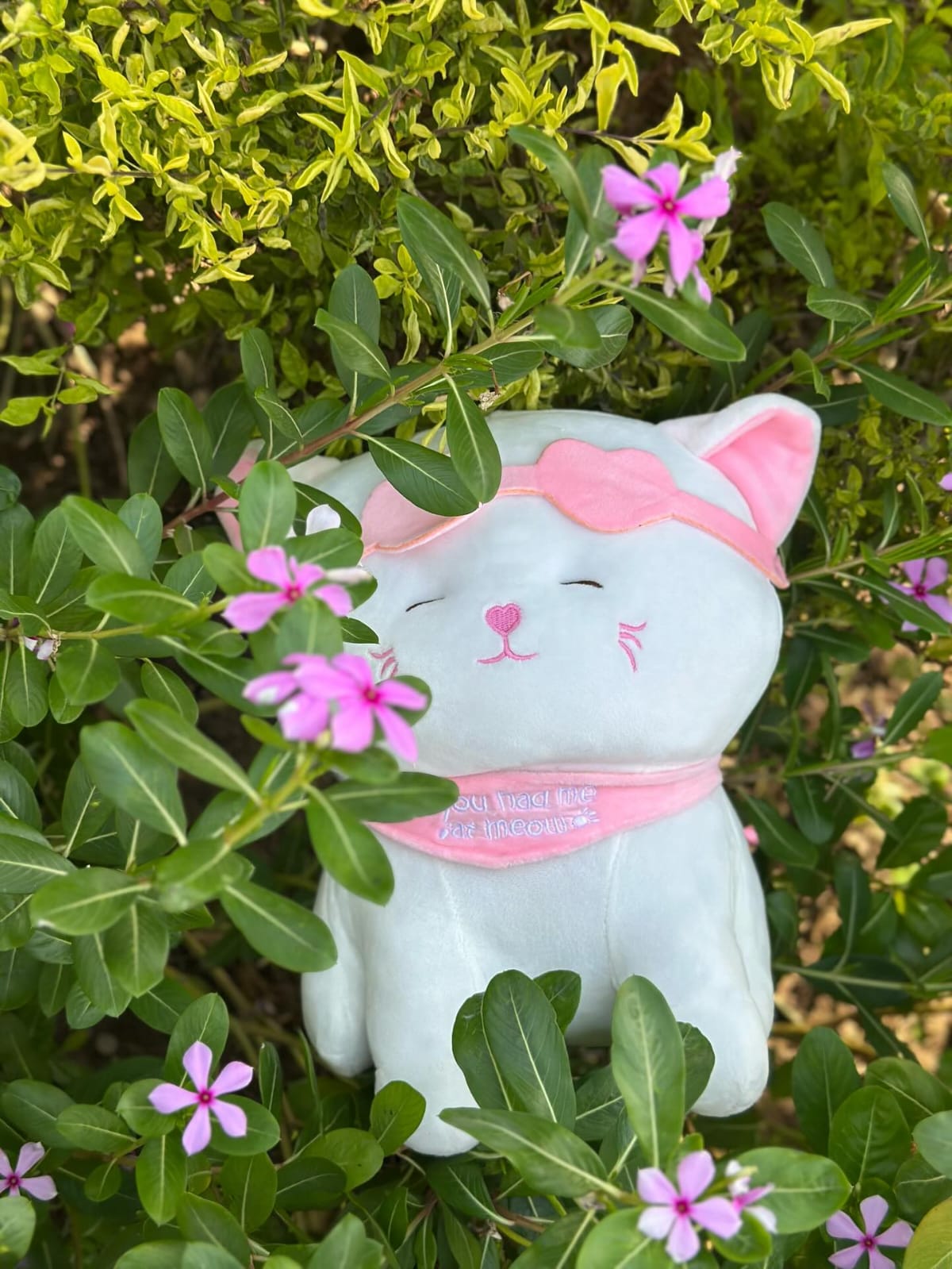 Kitten Plush